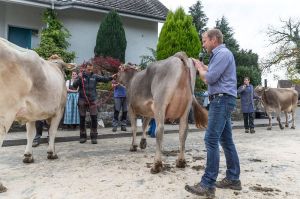 k-004Schneuter jngere Dally VIAMALA-ET_01